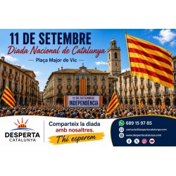 11 DE SETEMBRE DIADA NACIONAL